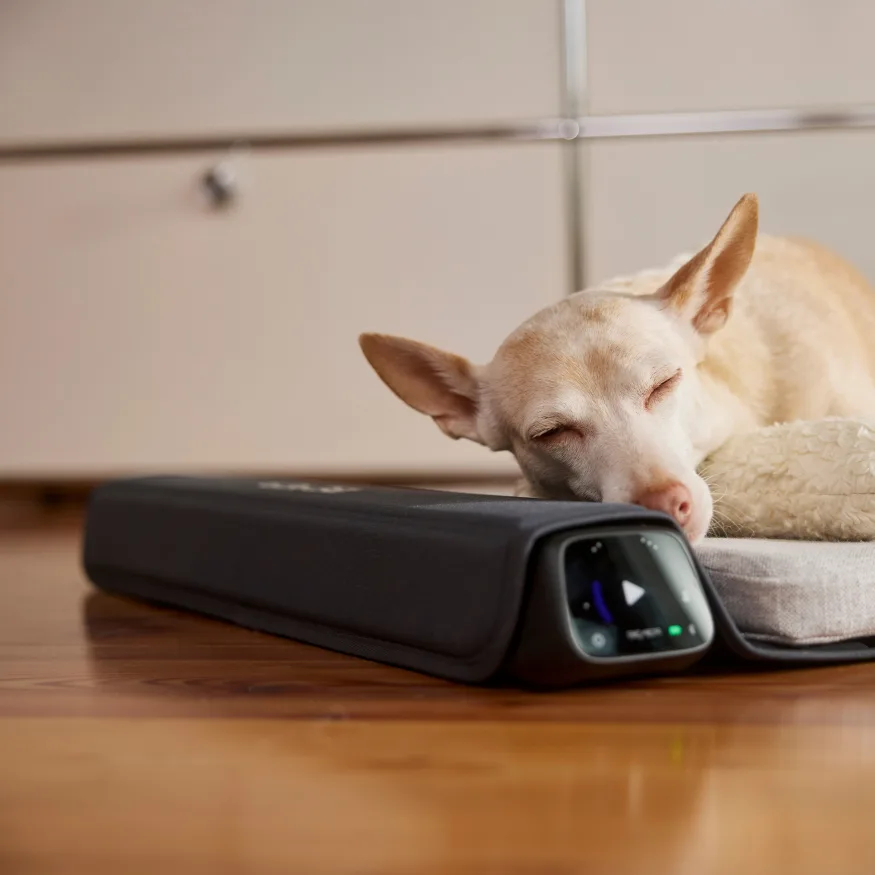 Bemer Dog Line